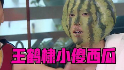 小傻瓜吃瓜视频大全集,笑料横生的欢乐时光回顾