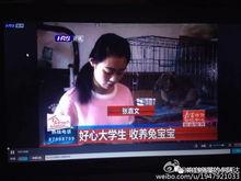 阿达吃瓜视频在线观看,带你领略网络热点的趣味解读