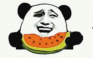 吃瓜群众下雨视频大全,吃瓜群众捕捉下雨视频大全精选集