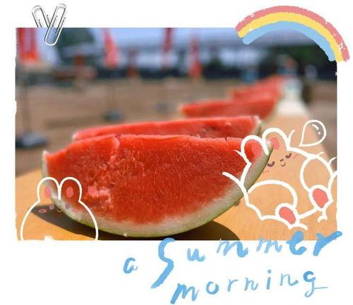 大型吃瓜现场小叮当视频,小叮当视频背后的惊人真相