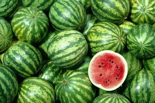 吃全瓜视频,揭秘吃全瓜的趣味与营养