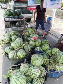 淮安万达吃瓜事件视频,一场引发热议的公共冲突瞬间