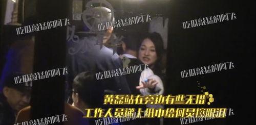 吃瓜视频黄磊,黄磊在吃瓜视频中的精彩表现