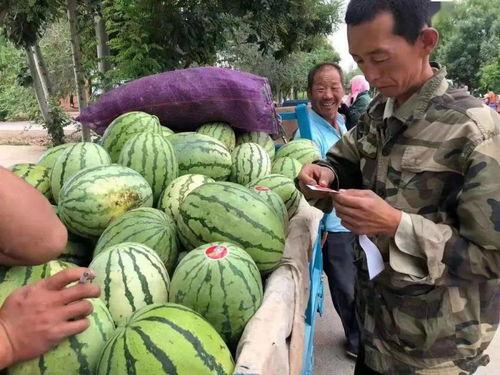 金昌大爷吃瓜视频,揭秘民间趣味生活瞬间