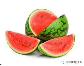 大奇吃瓜大树视频大全集,揭秘视频大全集中的趣味与智慧