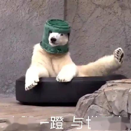 沙雕吃瓜吐槽视频大全集,笑料横飞，笑出腹肌！