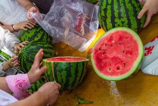 吃瓜大队视频,一场网络视频的狂欢盛宴