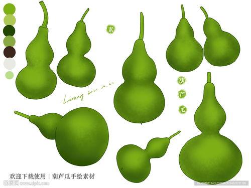 吃葫芦瓜视频素材,一窥家常烹饪的奥秘