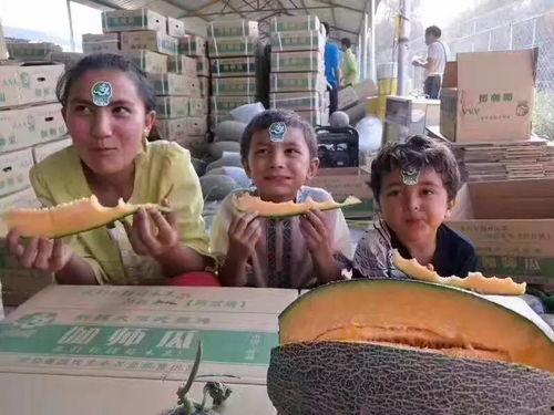 柳州校园吃瓜事件真相视频,揭秘背后惊人内幕