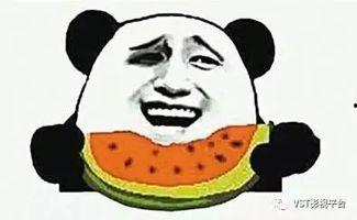 吃瓜群众长什么样子视频,视频中的真实形象解析