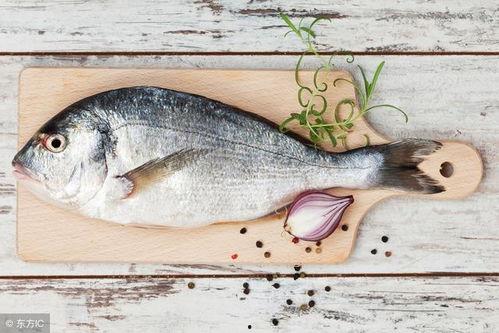 吃八瓜鱼视频大全