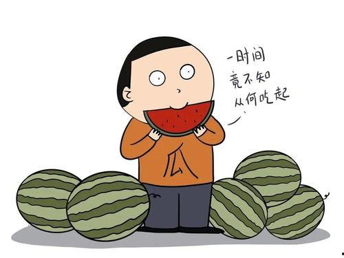 英语吃瓜视频突然能听懂,Surprise! Suddenly Understanding Eater of Watermelon Videos in English