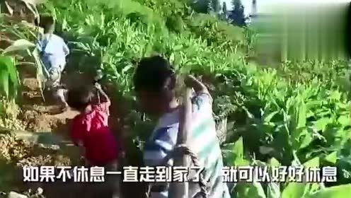 李海棠吃瓜视频大全集,揭秘娱乐圈幕后故事