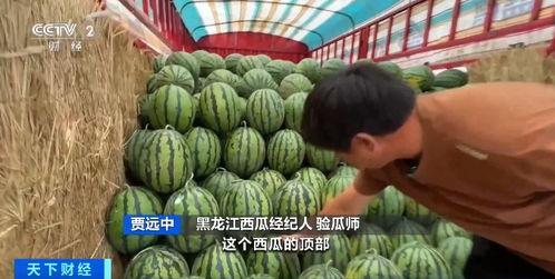 卖吃瓜视频罚多少钱,罚金金额大揭秘！