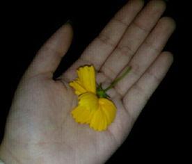 吃瓜群众拍摄吃瓜视频,揭秘吃瓜群众拍瓜视频背后的故事