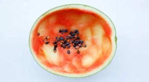 六安最新吃瓜事件真相视频,揭秘真相视频全解析