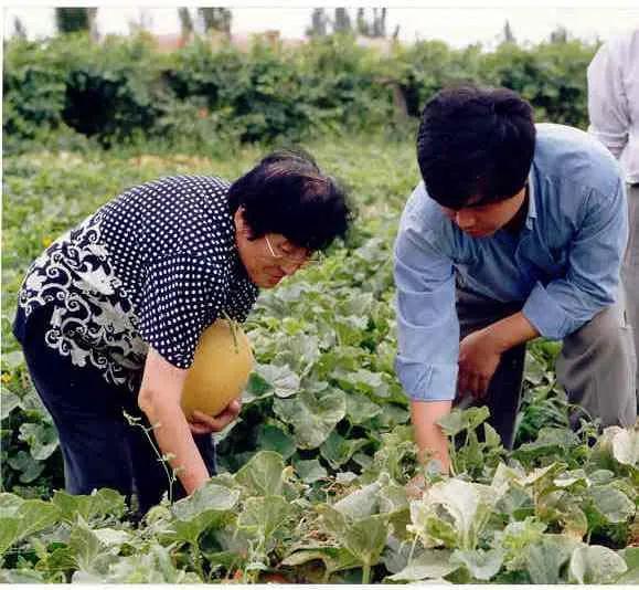 朱亭农村吃瓜视频,村民共享欢乐时光