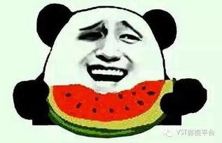吃瓜群众喂鱼视频大全