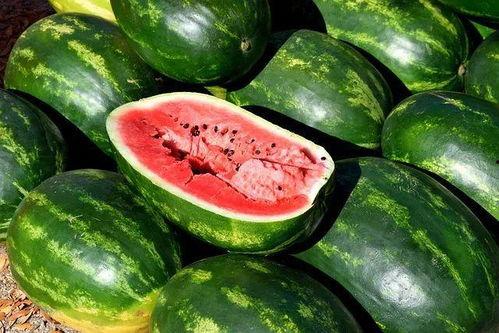 最新吃瓜恶心视频大全