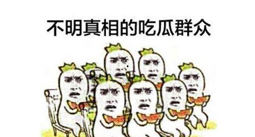 吃瓜群众副首领视频,视频背后的故事与影响力