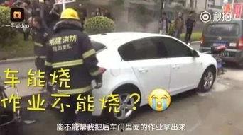救火现场吃瓜视频大全播放,揭秘救火现场吃瓜视频大全