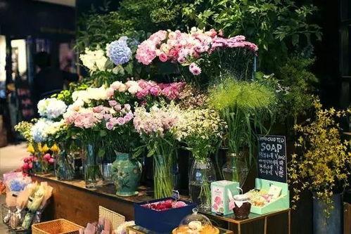 白沟花店吃瓜视频播放,揭秘花店日常趣事