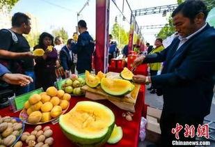 永年吃瓜新闻视频大全最新,盘点最新热门事件，揭秘幕后真相