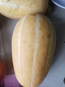 能炒菜吃的瓜有哪些视频,盘点那些能炒菜吃的瓜类食材视频