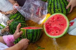 休息吃瓜的视频