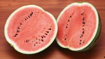 吃瓜丢叶的视频